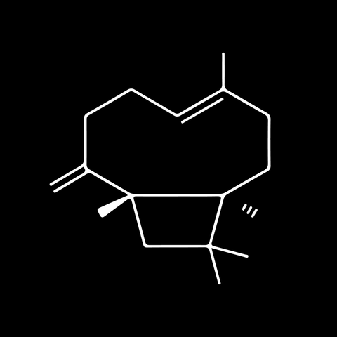 No. 02 — Caryophyllene