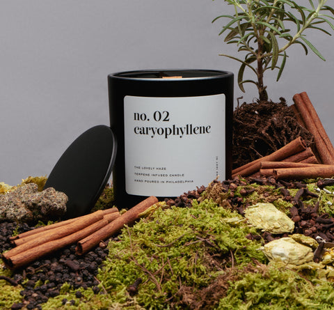 No. 02 — Caryophyllene