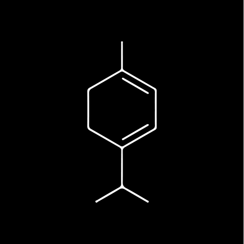 No. 07 — Terpinolene