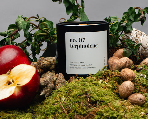 No. 07 — Terpinolene