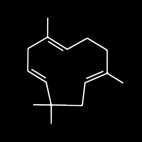 No. 06 — Humulene