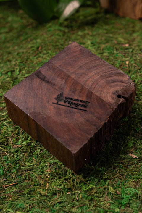 The Ash Tray No. 06
