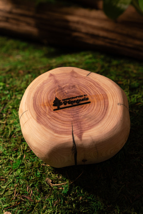 The Holding Piece No. 03