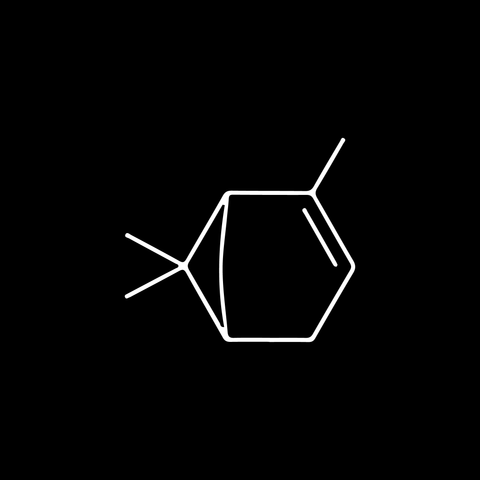 No. 04 — Pinene